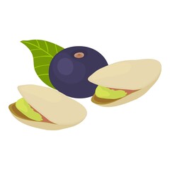 Exotic product icon. Isometric illustration of exotic product vector icon for web