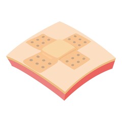 Medical plaster icon. Isometric illustration of medical plaster vector icon for web
