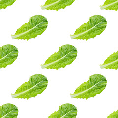 Fresh raw green romaine lettuce leaves seamless pattern on white background.