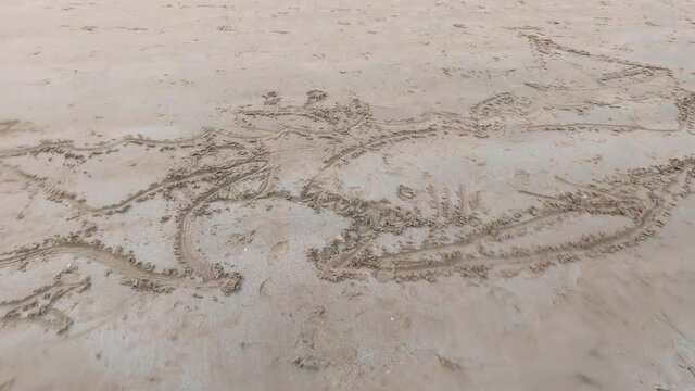 sharks and fish drawn on the sand at the beach