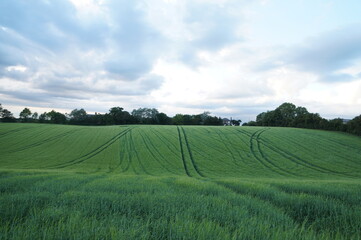 Tracktor patterns on the fields, spring 2018