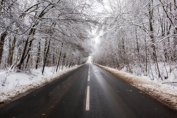 Forest road in idyllic winter landscape.