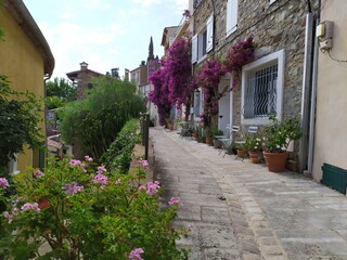 Fototapeta na wymiar Village de Grimaud , Provence, Cote d'azur