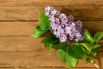 A lilac branch lies on an old plank table