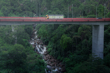 Bridge Over The River in deep forest