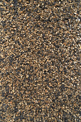 Abstract old beton texture wall with moss outdoor. Textured Grunge Background. High quality photo