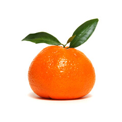 Tangerine or clementine