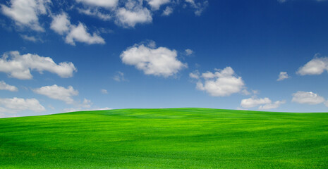 Obraz premium field and sky