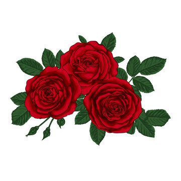 beautiful bouquet with three red roses and leaves. Floral arrangement.
