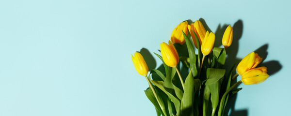 Yellow tulip flowers bouquet with hard shadow on blue background. Flat lay, copy space. Banner for seasonal holiday, springtime concept, International Woman day, 8 march, Happy Easter greeting card