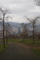 Urban park in a winter day