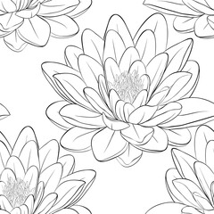Beautiful monochrome, black and white seamless pattern with lotus flowers.