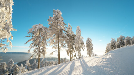 Atemberaubendes Panorama, Landschaft im Winter mit Schnee auf der Schwarzwaldhochstraße Mummelsee...
