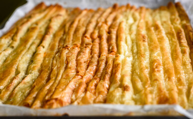 Baked homemade traditional Balkan, Bosnian, Greek, Turkish,  Serbian dish burek.