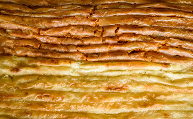 Baked homemade traditional Balkan, Bosnian, Greek, Turkish,  Serbian dish burek.