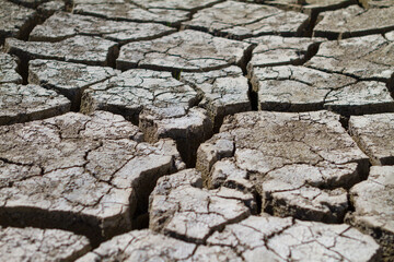 drought-cracked earth. environmental changes. desertification