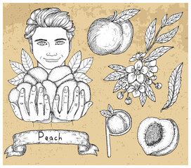 Design set with handsome man holding peach and fruits over textured background.
