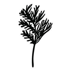 Cute hand-drawn dill sprig. Doodle vector illustration for vegetable blanks, cooking recipes and kitchen design.