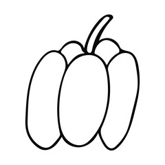Cute hand drawn vegetable - sweet pepper. Doodle vector illustration for vegetable blanks, cooking recipes and kitchen design.