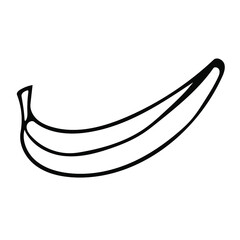 A single vector element with a hand drawn doodle banana. Illustrations for fruit packaging, juices, jams, cooking recipes, kitchen design.