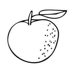 A single vector element with a hand-drawn doodle orange. Illustrations for juices, jams, cooking recipes, kitchen design.