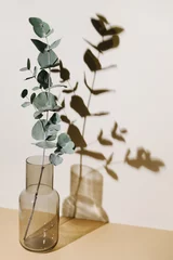 Fotobehang Scandinavisch Eucalyptus branch in vase on pastel neutral beige background with sun light and trendy shadow. Modern interior design concept.  © magic_cinema