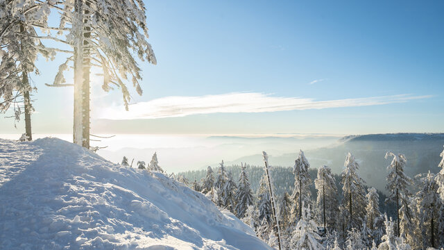 Atemberaubendes Panorama, Landschaft im Winter mit Schnee auf der Schwarzwaldhochstra&szlig;e Mummelsee Hornisgrinde Seebach im Schwarzwald, mit blauem Himmel und Sonnenschein