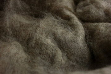Natural sheep wool for felting. Texture.