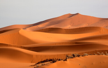 Naklejka na ściany i meble Erg Chebbi woestijn, Erg Chebbi Desert