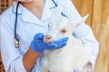 Young veterinarian woman with stethoscope holding and examining goat kid on ranch background. Young goatling with vet hands for check up in natural eco farm. Animal care and ecological farming concept