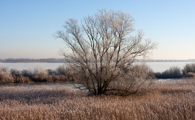 Het Bovenwater in de winter