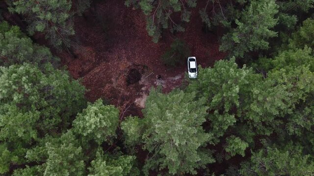 Aerial view of pne evergreen forest and white car. Camping on nature. Sustainable local travel. Restorative escape