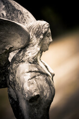 Sculpture of angels in the cemetery