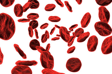 Blood cells on white background