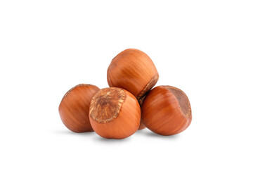 hazelnuts in a shell without leaves, healthy food, isolate on a white background