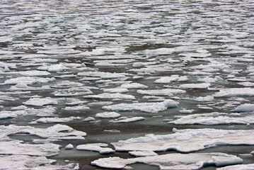Drift Ice Spitsbergen, Driftijs Spitsbergen
