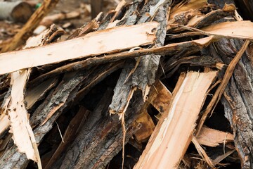 Bark.