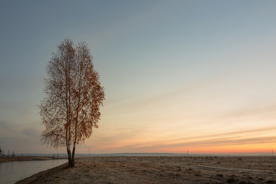 lonely tree by the road at dawn © makam1969