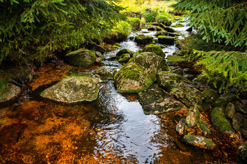 Small mountain river with stones and peat.