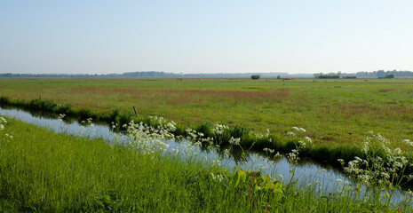 Landschap Arkemheen, Landscape Arkemheen