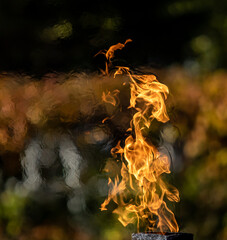 Flame fire, nature outdoors blurred background.