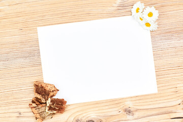 Naklejka na ściany i meble Blank paper background with spring motif copy space. Concept of notes
