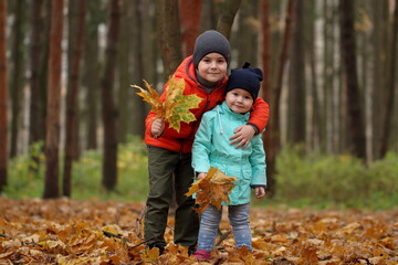 children in the autumn park