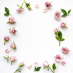 Framework from roses on white background.