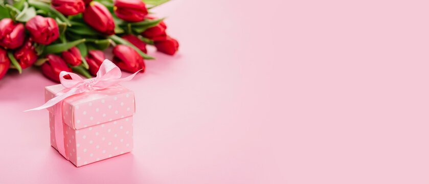 Gift box with a pink ribbon in white polka dots on a background of a bouquet of red tulips with copy space for text. Wallpaper or banner for gift shop, flower shop or jewelry store. Valentine day
