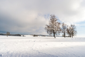Fantastic snowy winter landscape near Heiligenberg on Lake Constance