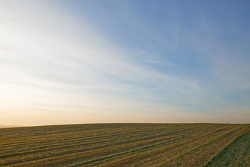 green winter field in autumn at sunrise