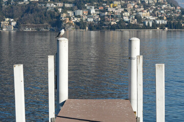 Un pontile sul lago di Lugano a Paradiso, Canton Ticino, Svizzera.
