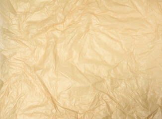 crumpled blank sheet of brown wrapping kraft paper, vintage texture for the designer