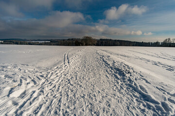 Fototapeta na wymiar Fantastic snowy winter landscape near Heiligenberg on Lake Constance